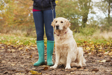 Close Up Of Mature Woman On Autumn Walk With Labrador
