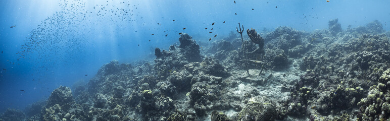 Unterwasser - Riff - Korallenriff - Panorama - Schwamm - Taucher - Tauchen - Curacao - Karibik