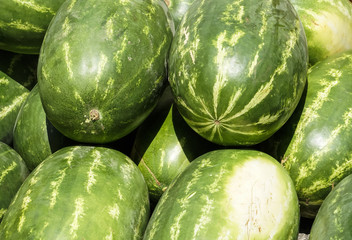 watermelon