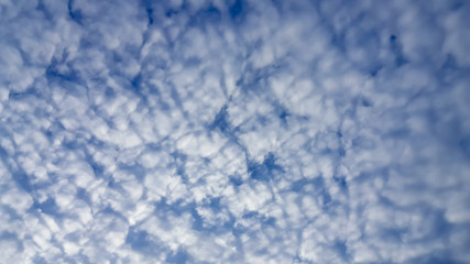 Fototapeta na wymiar landscape of the clear sky