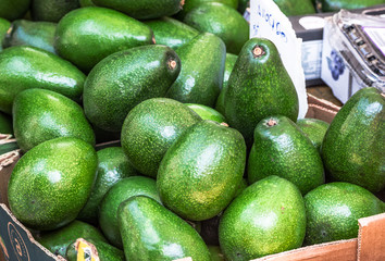 The main ingredient for the preparation of guacamole, is  avocado