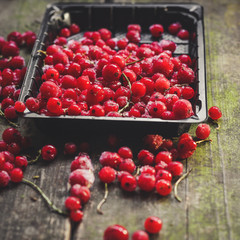 Red currant in a container on a wooden surface