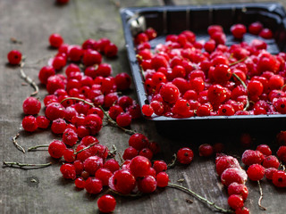 Red currant in a container on a wooden surface