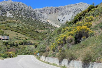 Paysage de Grèce