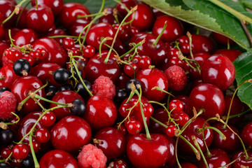 Mature berries on a wooden table