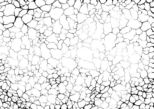 Cracks and lighting or networks of roots on white background. Abstract texture design in grunge and polygon style.