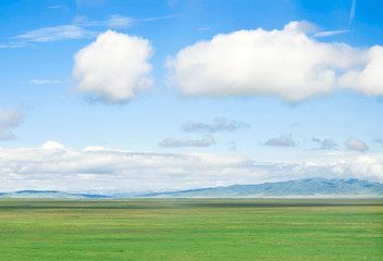 Fototapeta premium Peaceful grassland