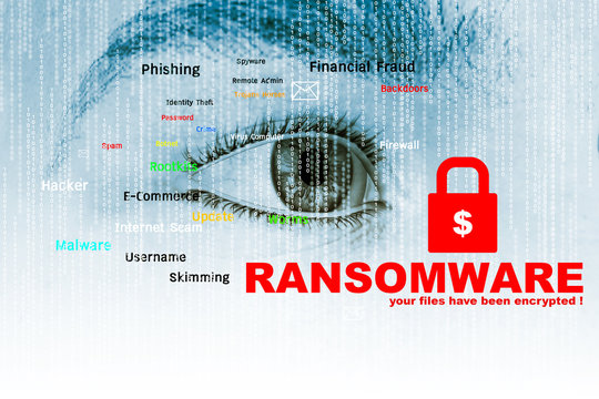 Ransomware,Cyber security concept,3d illustration 