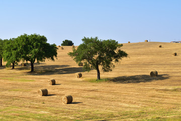 Rural lanscape, Portugal