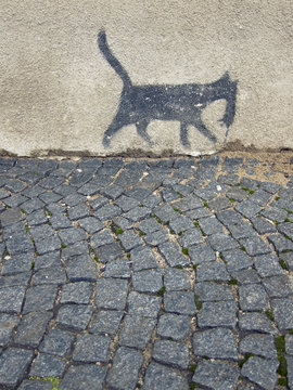 Painted cat on house wall