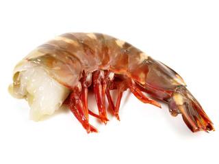 Riesengarnele - Gamba