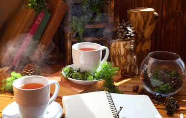Two cups with hot tea or coffee, an open notebook with blank pages for writing, book stubs, moss on the shelves. Autumn morning