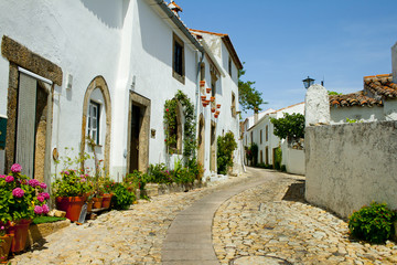 Rural street © clavivs
