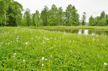 The natural landscape in the spring.