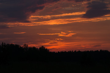 Obraz na płótnie Canvas Beautiful warm sunset over the forest