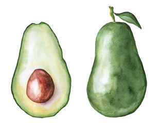 avocado slice watercolor hand drawn illustration