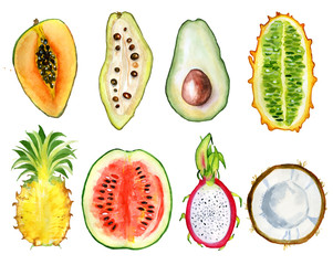 Fototapety  owoce tropikalne kawałek akwarela ręcznie rysowane ilustracja
