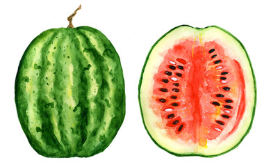 watermelon slice watercolor hand drawn illustration
