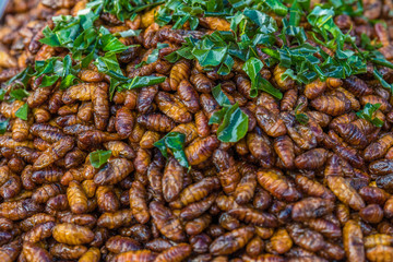 Geröstete Insektenlarven