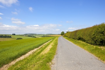 country road and scenery
