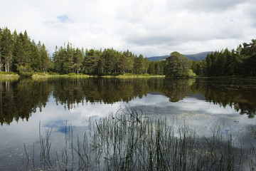 Lake Reflection 