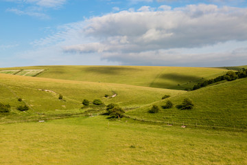 Fototapeta premium South Downs Landscape
