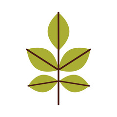 Cultivated plant isolated icon vector illustration design