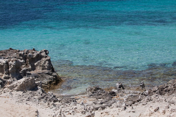 In Ses Illetes beach