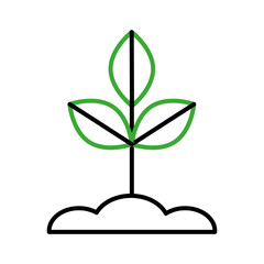 Cultivated plant isolated icon vector illustration design