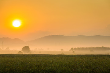 Orange color of Morning scene in country of Thailand