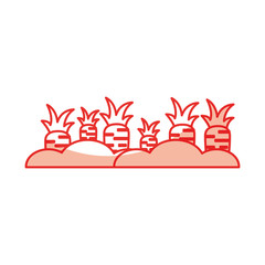 carrot cultivation isolated icon vector illustration design