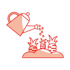 carrot cultivation isolated icon vector illustration design