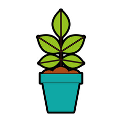 Cultivated plant in pot vector illustration design