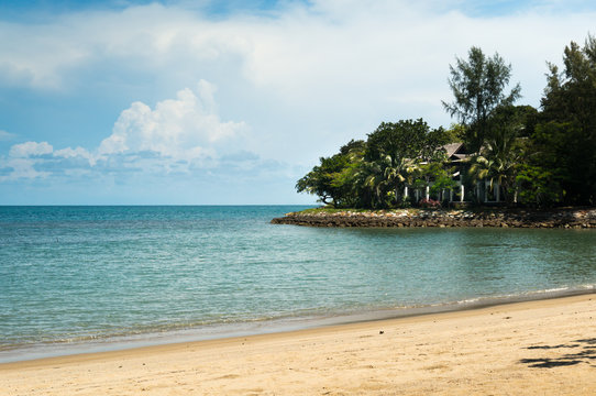 Sandy beach with trees. The ocean and blue sky stretching out into the distance makes this a great travle image