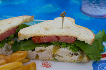 chicke candwich with tomato and lettuce cut in half 