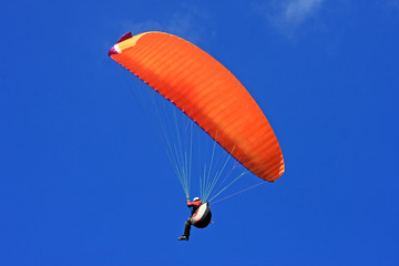 Paraglider
