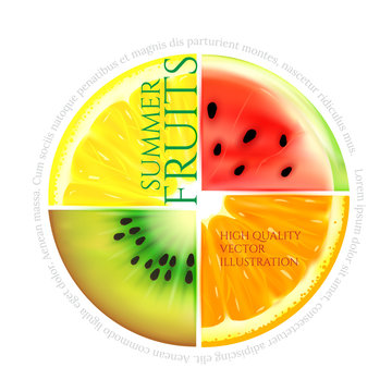 Summer fruit slices in a circle isolated on white background. Realistic vector illustration a piece of watermelon, lemon, orange and kiwi