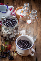 Fruits of black chokeberry prepared for processing.