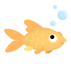 Vector gold fish illustration