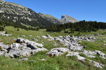 Sommet de la Pierre Blanche (alt 2016 m) et le Grand Veymont, vus de la Jasse du Play
