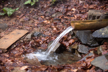 Source of water among stones and fallen leaves