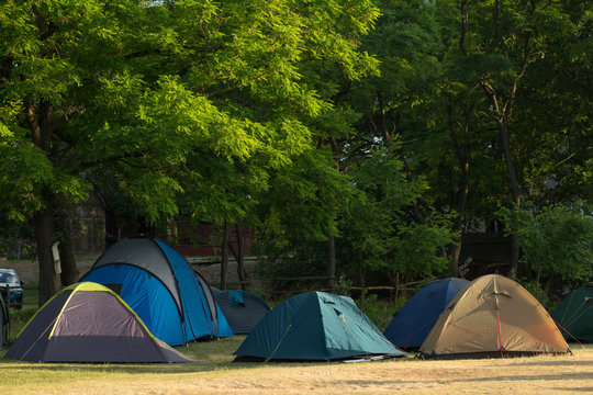 Tourist tents in forest camp
