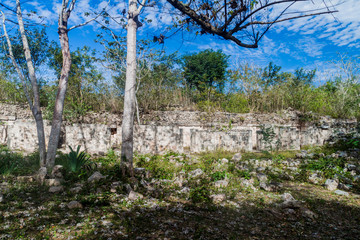 Fototapeta na wymiar Ruins of the ancient Mayan city Uxmal, Mexico