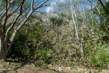 Unrestored building in the Cemetery temple group at the ruins of the ancient Mayan city Uxmal, Mexico
