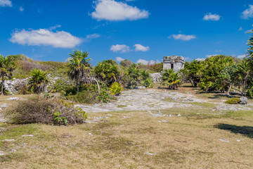 Ruins of the ancient Maya city Tulum, Mexico
