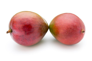 Mango fruit isolated on white background .