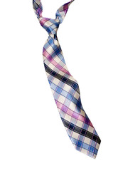 Plaid Tie with Windsor Knot