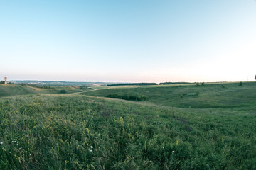 Summer meadow at sunset day evening landscape.