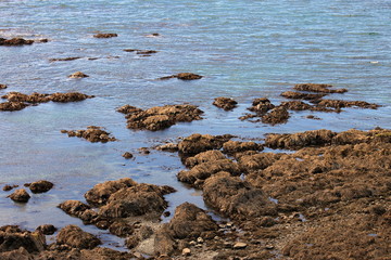Rocky Beach