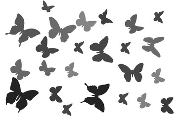 Fototapeta na wymiar Butterfly flying on a white background. Winged insects are drawn.